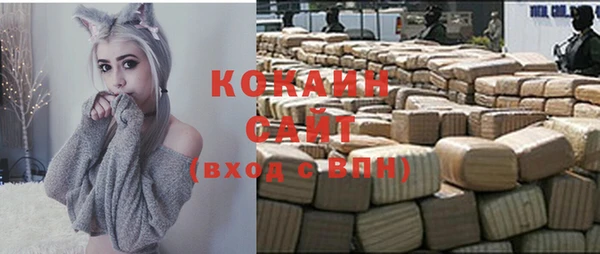 соль ск Нея